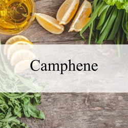 Camphene (Natural)