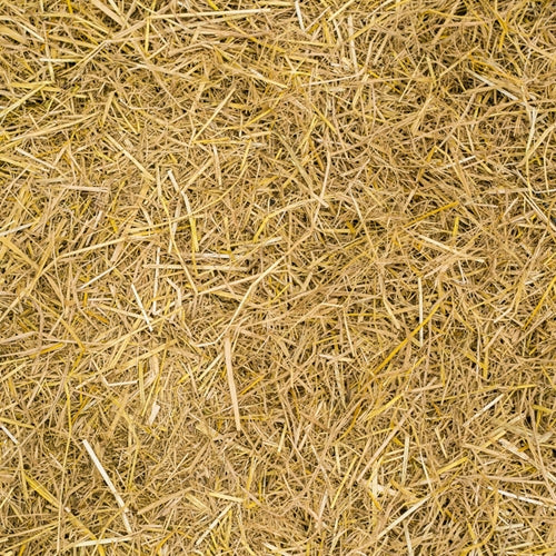 Coumarin 10% DPG