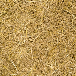 Coumarin crystalline powder