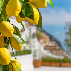 Lemon - Italy EO