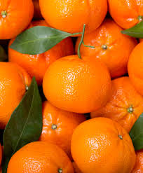 MANDARIN FLEURESSENCE