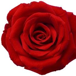 Rose Oxide (Racemic)