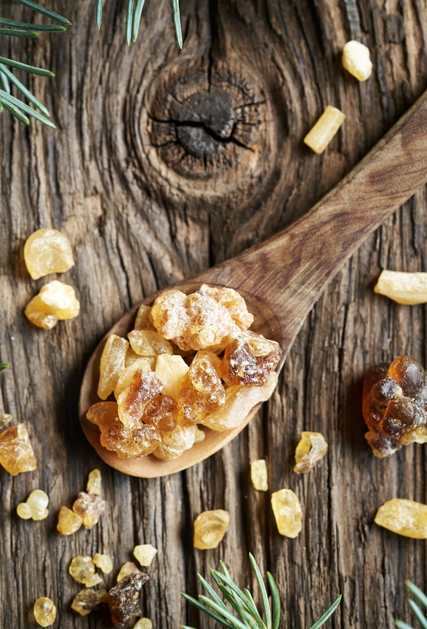 Frankincense Olibanum Resinoid