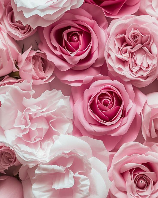 ROSE GIVCO 217