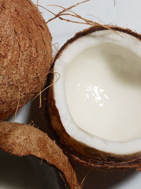 COCONUT ACORDE (W)
