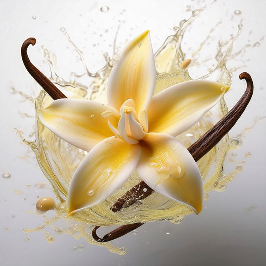 V-VANILLA ACORDE (W)