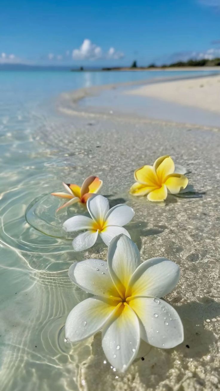 PLUMERIA FRAGANCE OIL