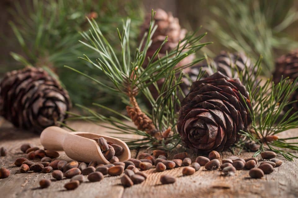Alpha Pinene (Natural)
