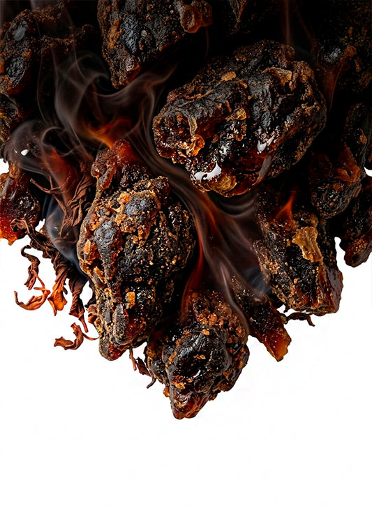 BENZOIN SUMATRA RESINOID