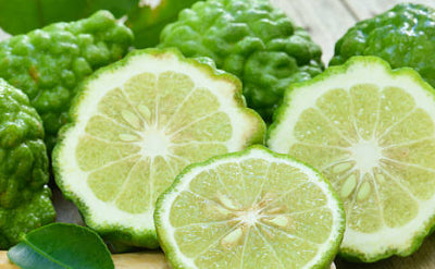 Bergamot Givco 104