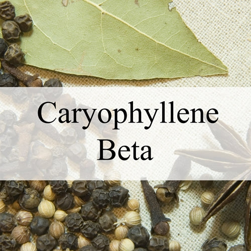 Caryophyllene Beta (Natural)
