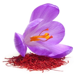 FIRASCONE (FIRMENICH)
