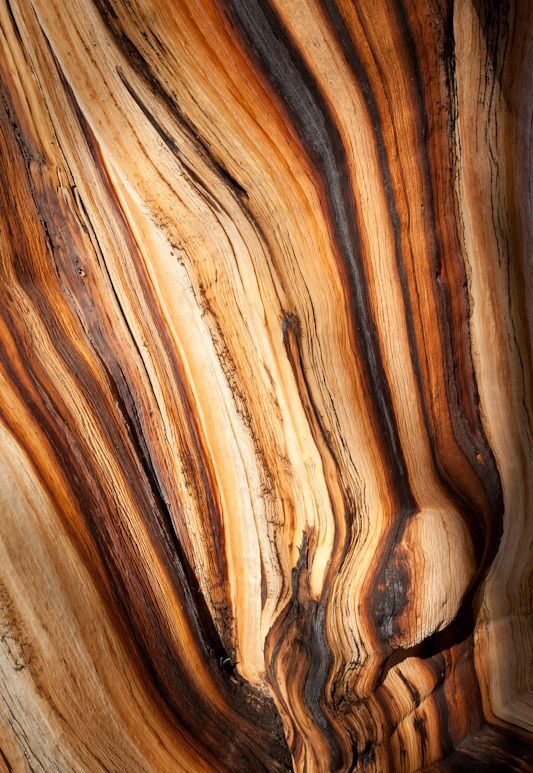 ARABIAN SANDALWOOD F.OIL