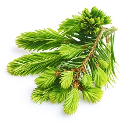 Linalool Oxide