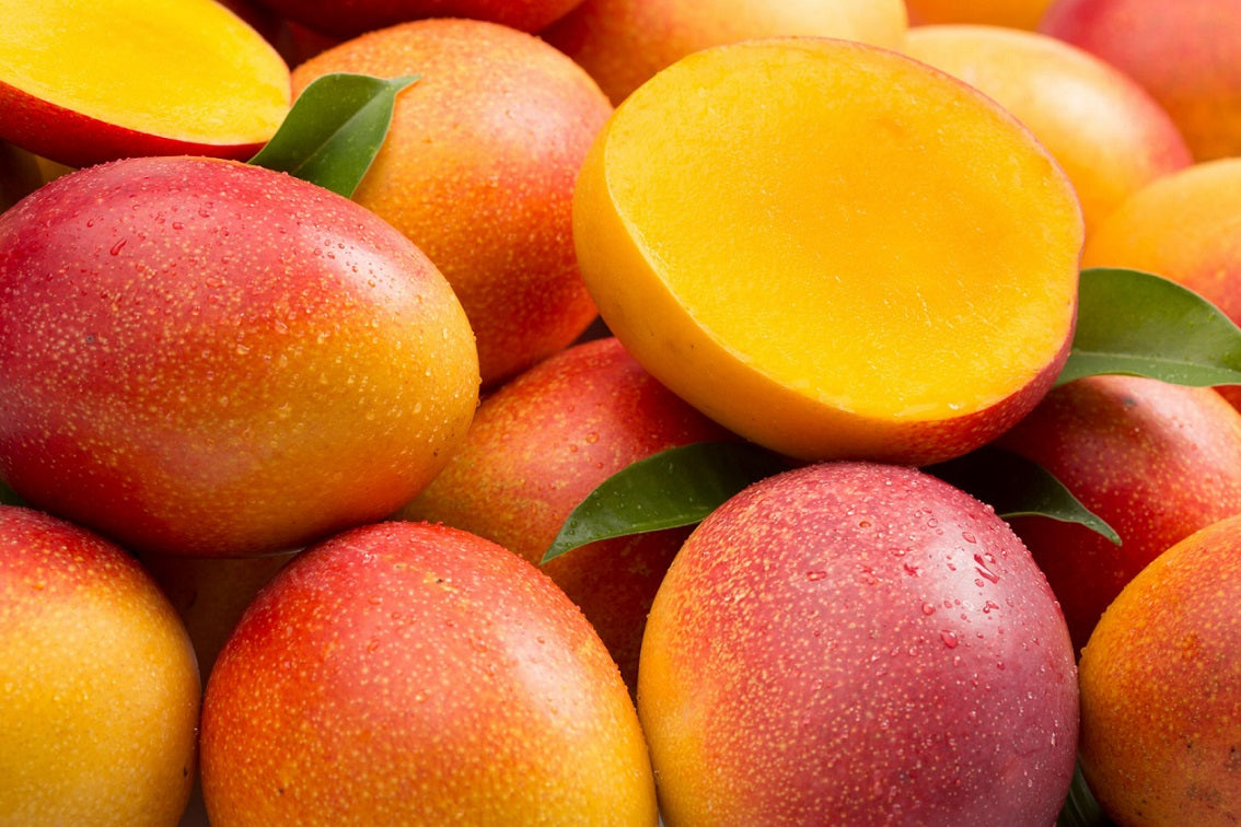 MANGO ACORDE (W)