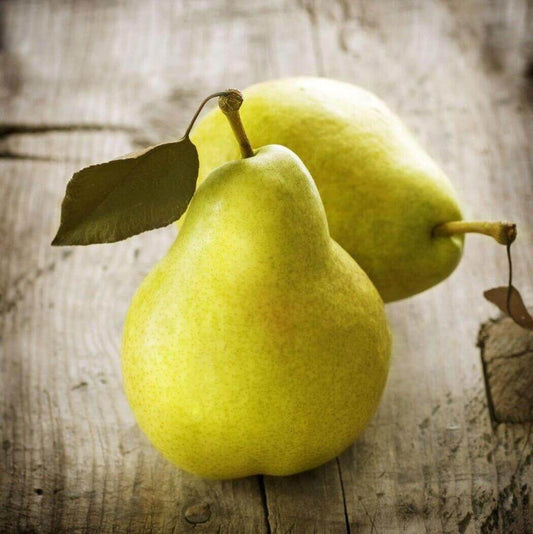 Pear Essence