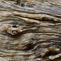 SIAM WOOD OIL