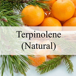 TERPINOLENE