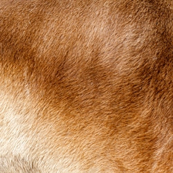 Velvione - Givaudan