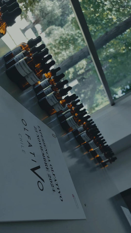 Experiencia OLFATIVO, Crea tu Perfume - 14 Noviembre 2026