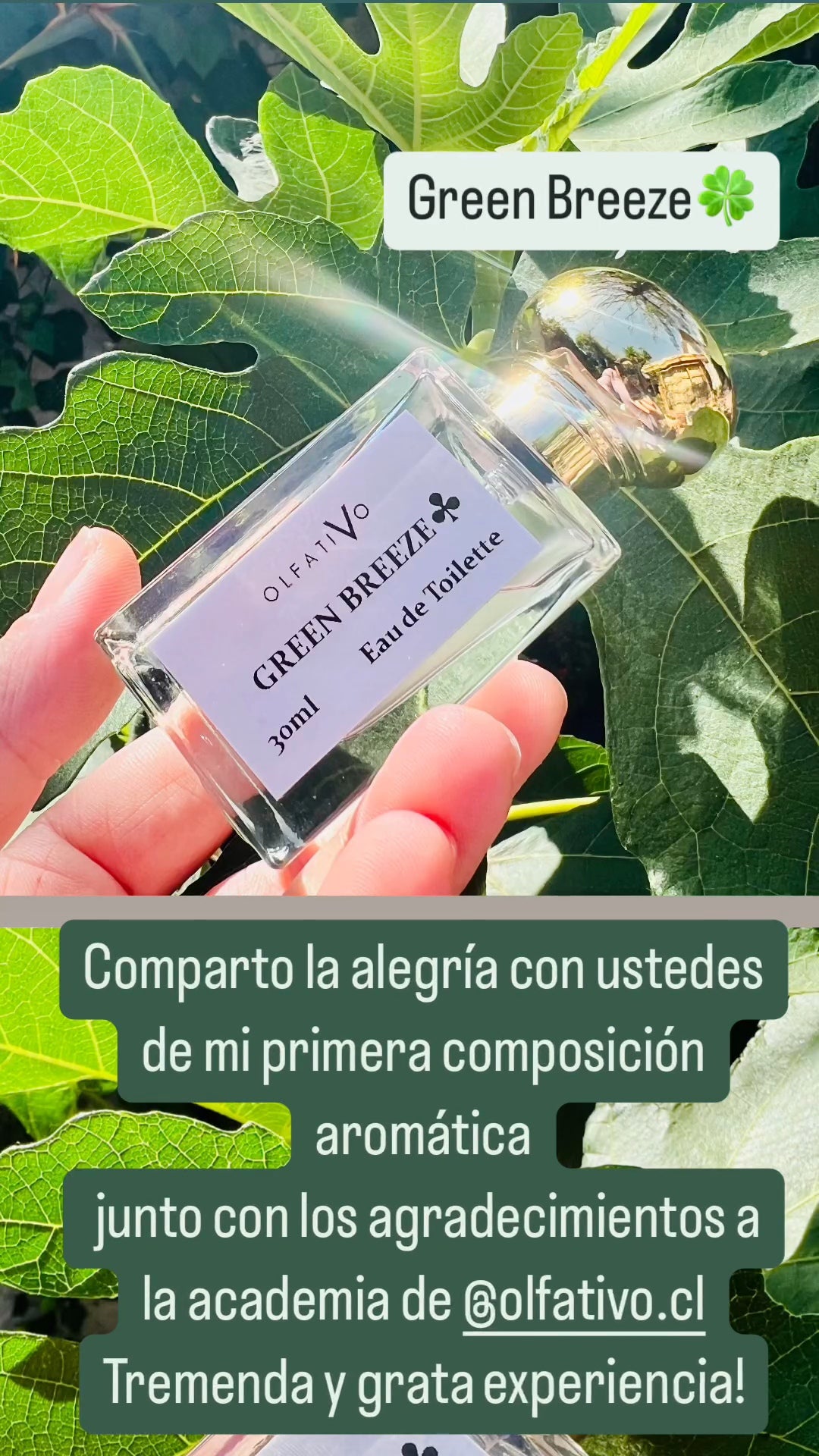 Experiencia OLFATIVO, Crea tu Perfume - 4 Julio Viña del mar