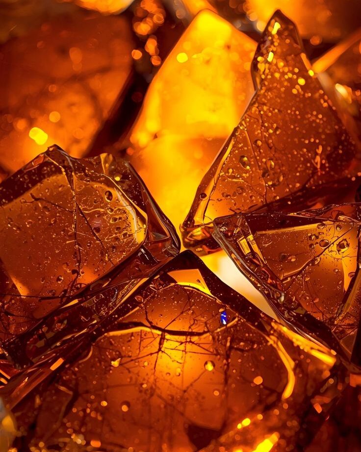 AMBER ACORDE (W)