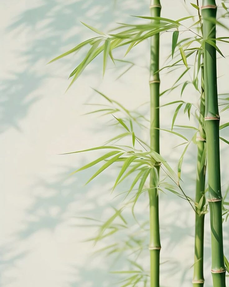 SPRING BAMBOO ESSENCE