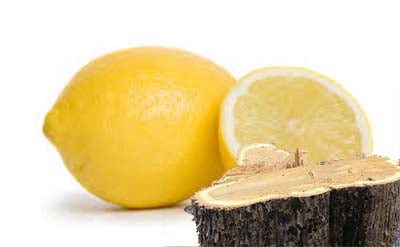 Elemi Gum