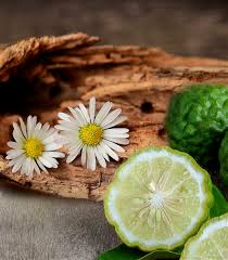 BERGAMOT FRAGRANCE OIL (PREMIUM)