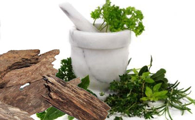 Patchouli ESSENTIAL OIL