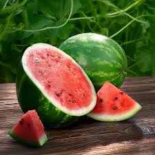 Sandia - Aceite Sintético Aromático