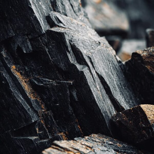 BLACKWOOD BASE